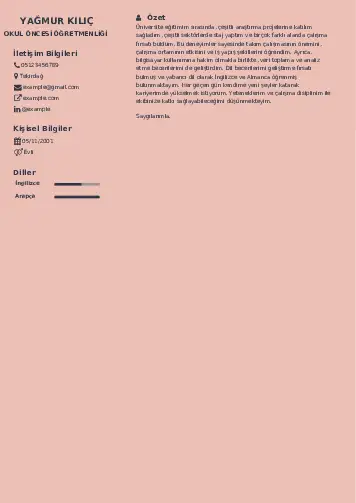 Okul Öncesi Öğretmeni Öğretmenliği Cv Örnekleri cv indir